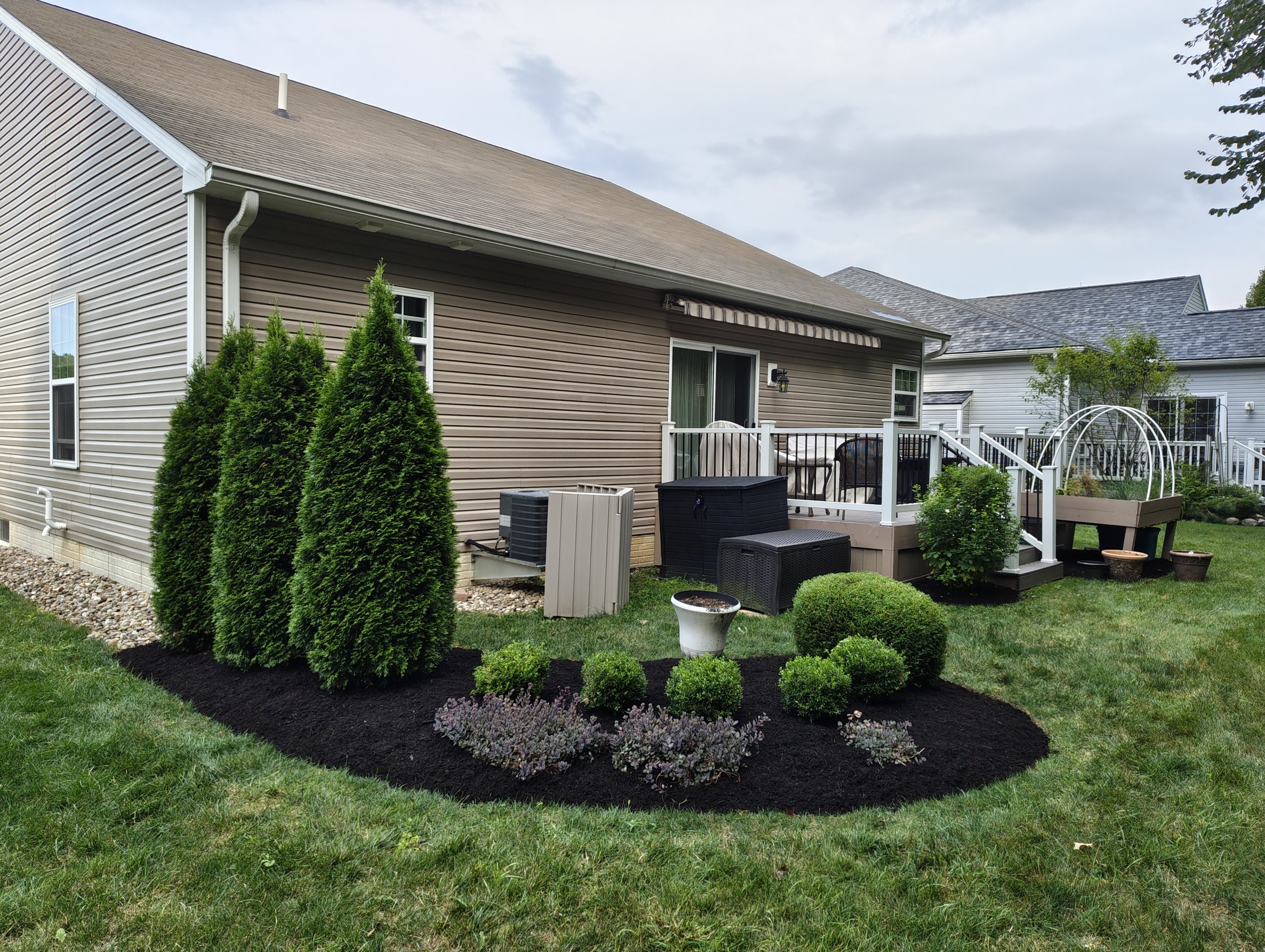 Fresh mulch bed with arborvitae and trimmed shrubs