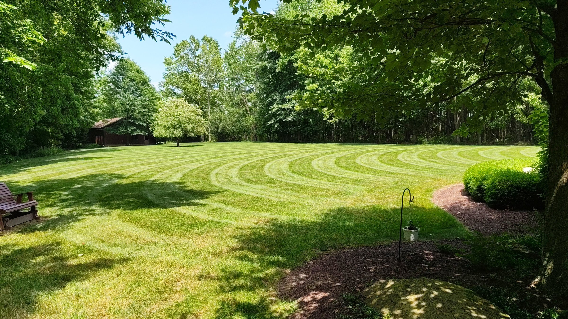 Lawn mowed with circular striping pattern around a tree