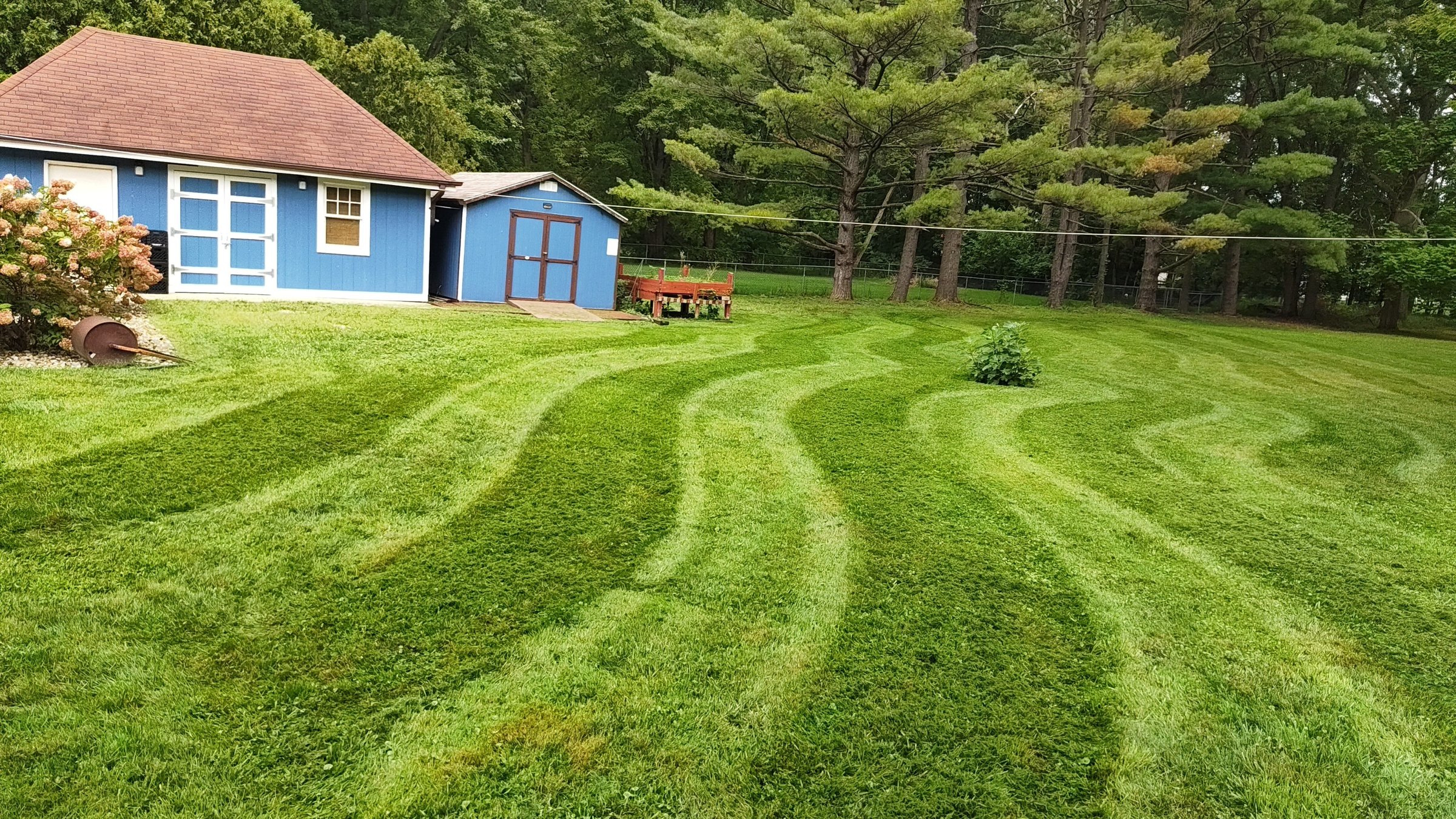 Freshly mowed lawn with clean mowing stripes